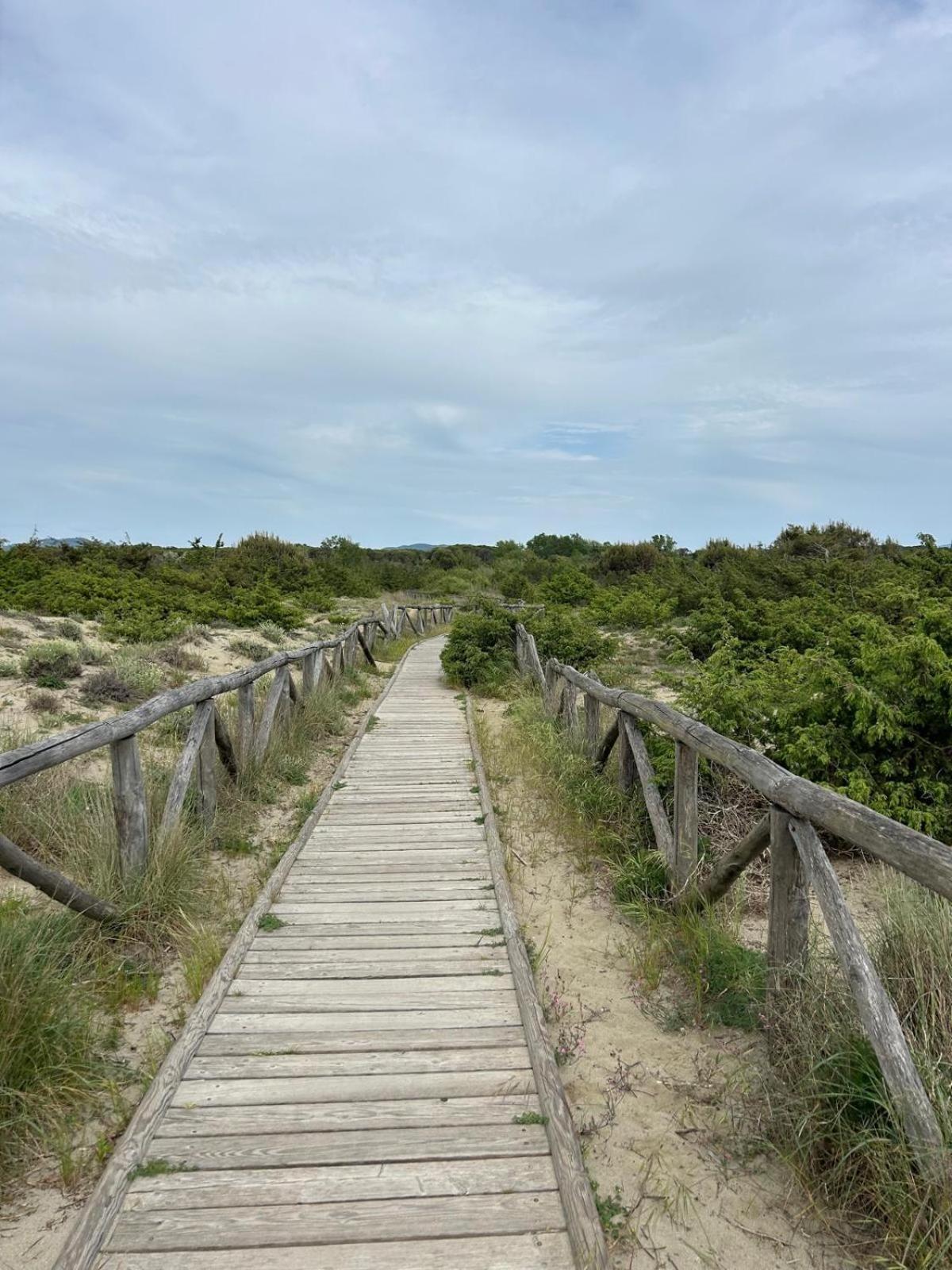 Il Mio Piccolo Angolo Di Mare Viareggio Bagian luar foto