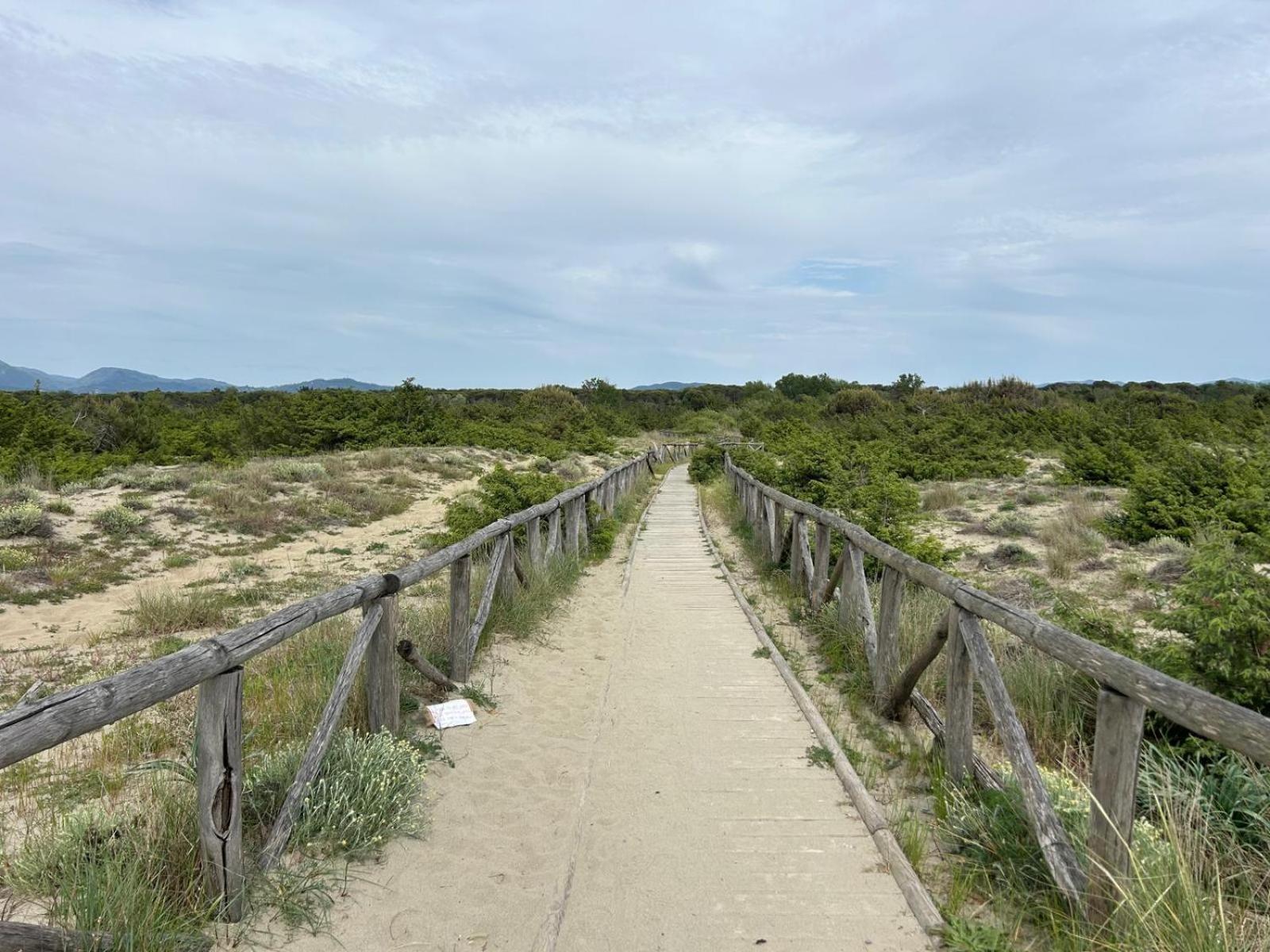 Il Mio Piccolo Angolo Di Mare Viareggio Bagian luar foto